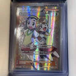 Pokemon TCG : Teammates (PRC 160) EX